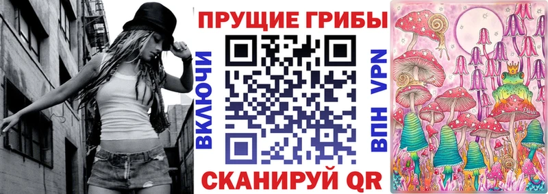 ссылка на мегу   Талица  Галлюциногенные грибы Psilocybine cubensis 